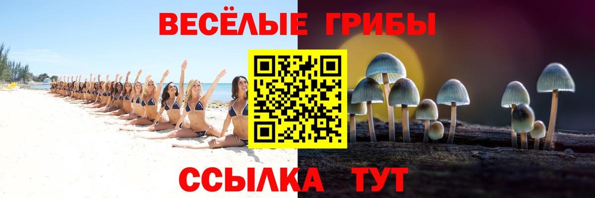 Псилоцибиновые грибы мухоморы  даркнет сайт  Электрогорск  Вход с VPN 